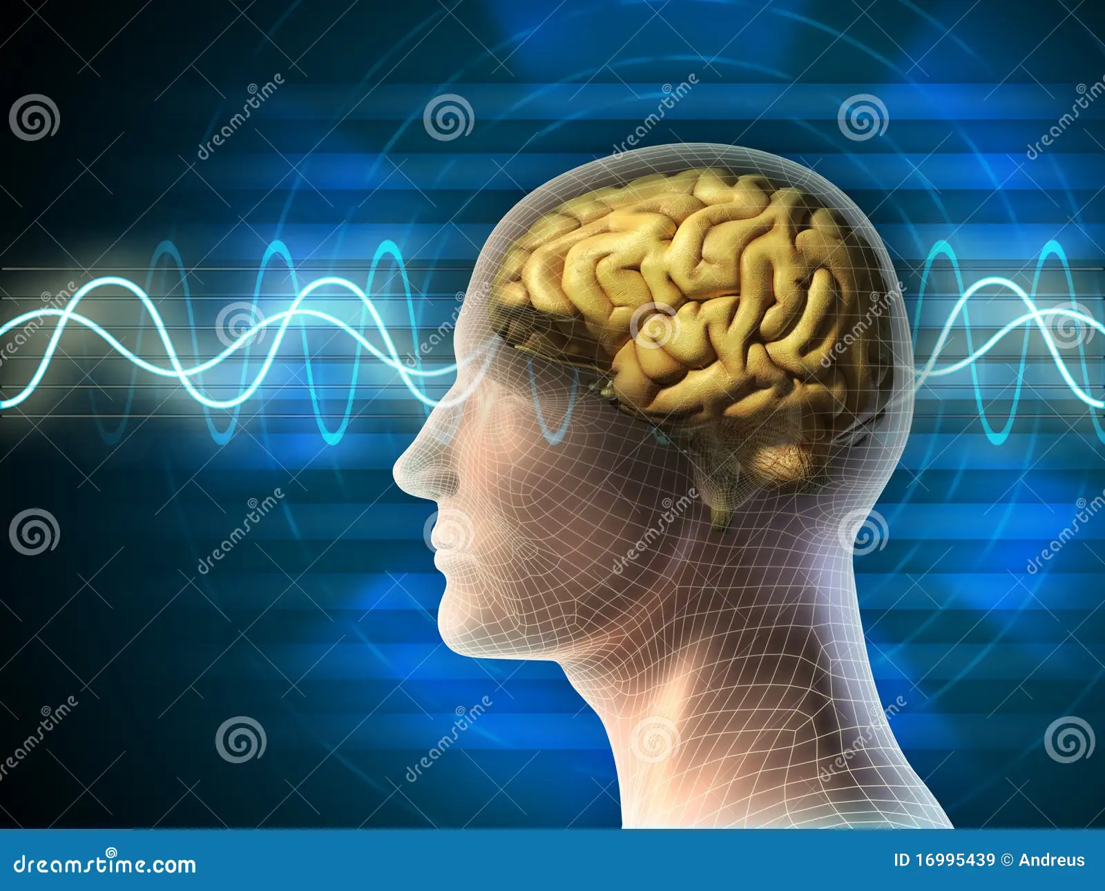 thememory-wave-programs